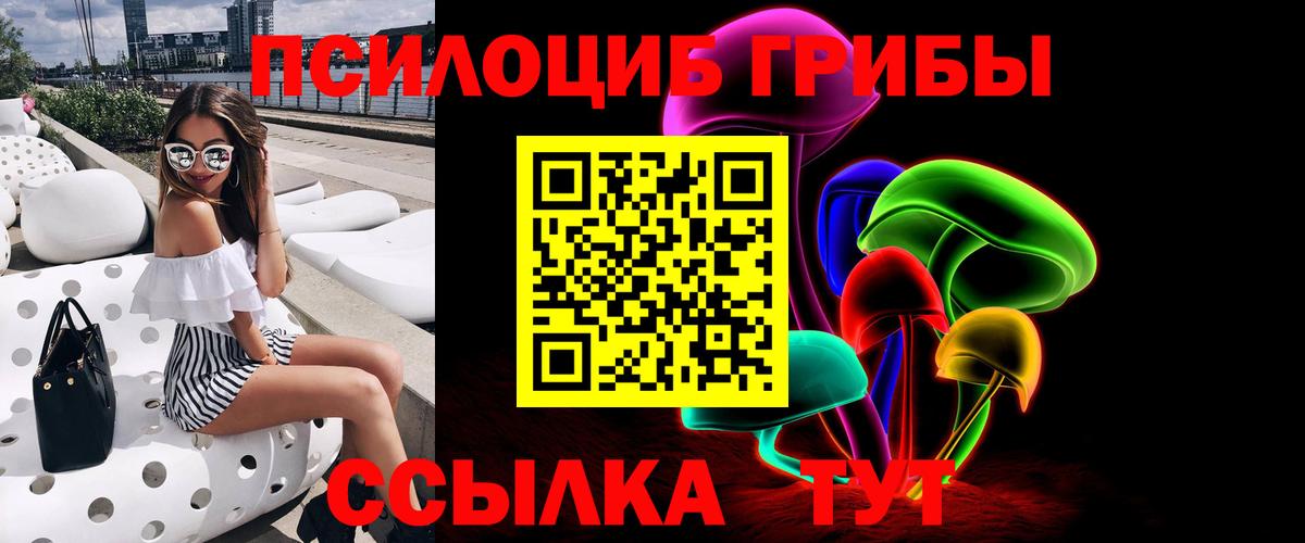 Псилоцибиновые грибы мухоморы  Вход с VPN  закладка  Щёлково 
